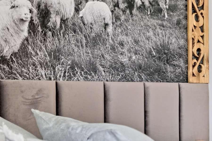 Willa U Baranow Ζακοπάνε Εξωτερικό φωτογραφία